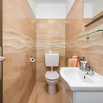 Lara Apartman Drenje (Istria)